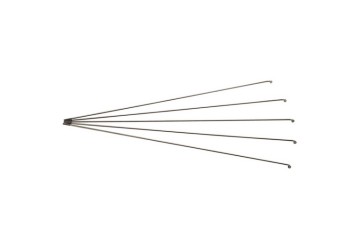 RAGGI BRN INOX 290x2,3 CON NIPPLES IN OTTONE