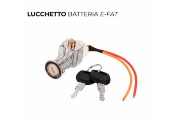 LUCCHETTO ELETTROMECCANICO BATTERIA FAT 36/48, 2
CHIAVI