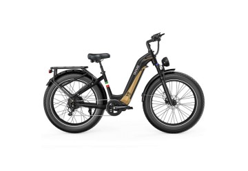 OVIVO - V6 PRO BLACK/GOLD 48V 20Ah