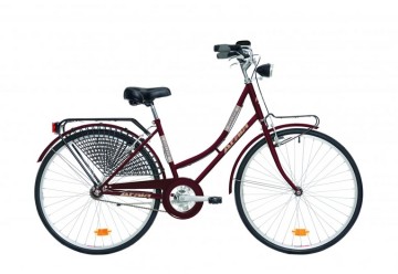 21 COLLEGE 26 1V AMARANTO D43